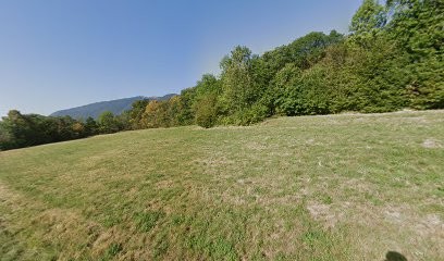 Office National des Forêts, Elagueur à Péron