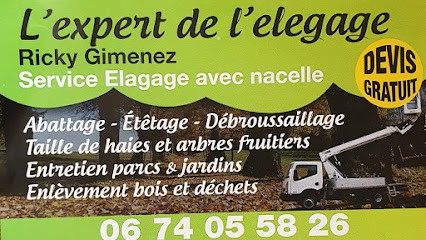 Expert De L'elagage, Elagueur à Marsillargues
