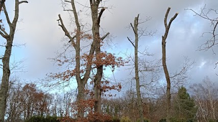 M KREIT Artisan Élagage Abattage DEVIS ET DÉPLACEMENT GRATUIT ET étage D'arbres Taille De Haie Pose De Clôture, Elagueur à Nemours