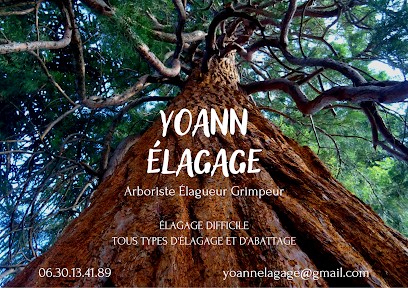 yoann élagage, Elagueur à Sainte-Foy-de-Peyrolières
