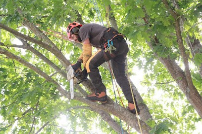 Bocasèvre Environnement, Elagueur à Sèvremont