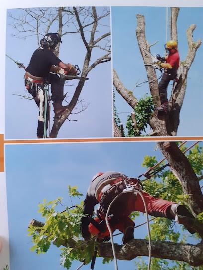 Lagrenee Multiservices Elagueur, Elagueur à Treillières