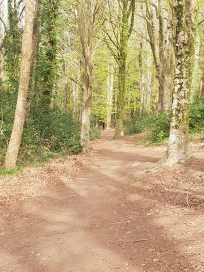 Office National Des Forêts, Elagueur à Quimper