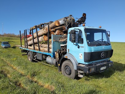 Lintz Geoffrey Elagage et travaux en hauteur bûcheronnage sciage de bois, Elagueur à Pouy