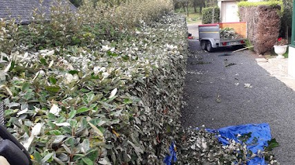 Élagage le guern, Elagueur à Paimpol