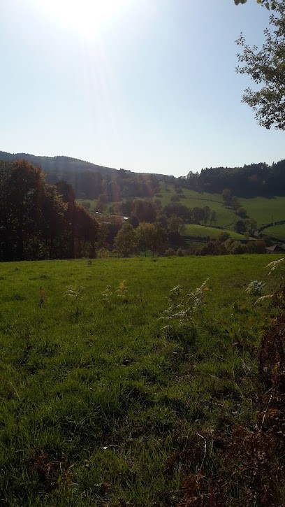 De l'Etre à l'Hêtre, Elagueur au Cergne