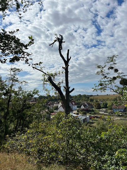 MR BOULANGER Élagueur 67 - Entreprise Élagage Abattage D’Arbres Taille De Haies Entretien Espaces Verts Clôture Strasbourg, Elagueur à Strasbourg