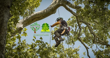 Au Près Des Arbres, Elagueur à Saint-André-de-Lidon