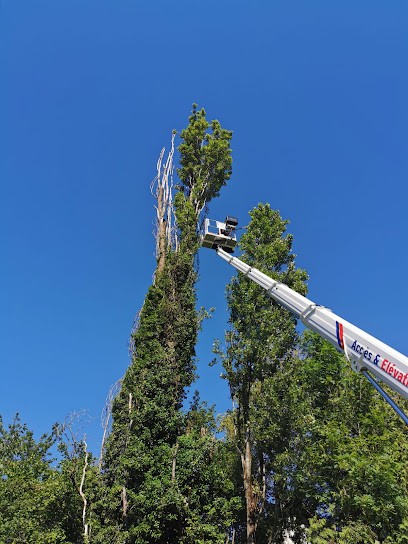 Elagage Jacquier SFBE - Élagage Abattage d'Arbres Dessouchage Travaux Forestiers 74 Haute-Savoie Évian-les-Bains Thonon..., Elagueur à Maxilly-sur-Léman
