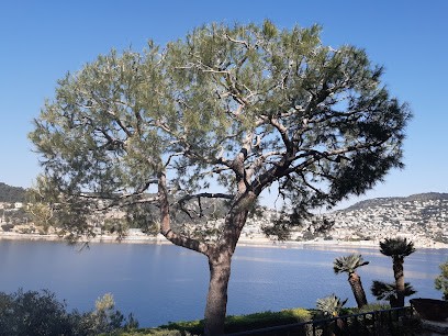Olivier Nature, Elagueur à Levens