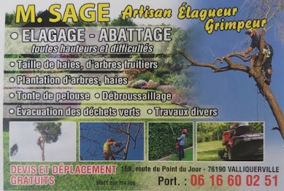 Élagage abattage sage Dylan, Elagueur à Valliquerville
