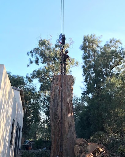 🌲Fratini élagueur grimpeur🌲, Elagueur à Penta-di-Casinca