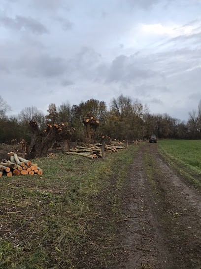 Bois Bocage Environnement SARL, Elagueur à Montrevault-sur-Èvre
