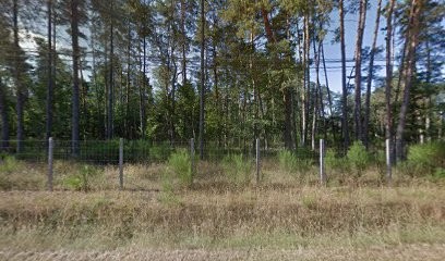 Office National Des Forêts (O.N.F.), Elagueur à Vouzeron