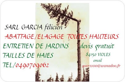 Garcia Félicien, Elagueur à Violès