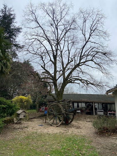 Arbo Sud-Charente, Elagueur à Médillac