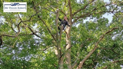Mr Theom Robert Artisan Élagueur Paysagiste Service d'élagage Abattage d’arbres Taille de Haie, Elagueur à Marcq-en-Baroeul