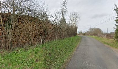 Tranchant Morgan, Elagueur à Rémalard en Perche