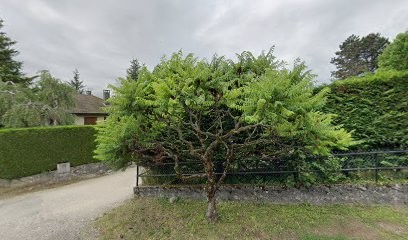 Elagage Du Grésivaudan, Elagueur à Saint-Nazaire-les-Eymes