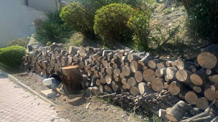 Keller elagueur paysagiste 31, Elagueur à Lherm