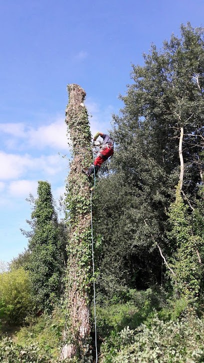 Timber Twins, Elagueur à Milly-la-Forêt