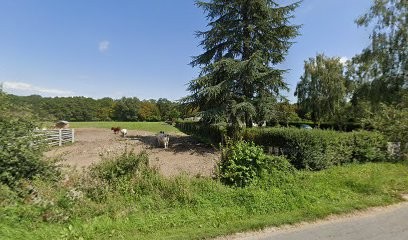 Office National des Forêts, Elagueur à Marchiennes