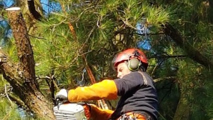 Deschamps Mathieu - Arboriste Grimpeur élagueur, Elagueur à Sainte-Gemmes-sur-Loire