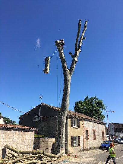 Garonne Environnement ELAGAGE, Elagueur au Passage