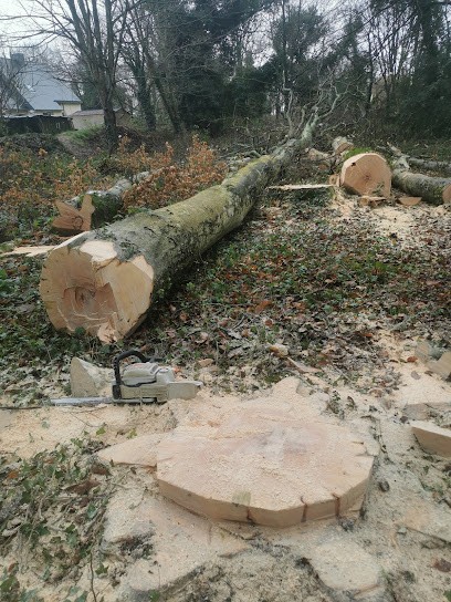 Eurl BocaBreizh, Elagueur à Loguivy-Plougras