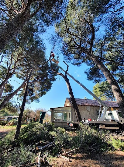 La branche 21, Elagueur à Talant