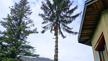 Poncet Paysage, Elagueur à Varces Allieres Et Risset