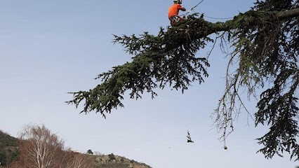 Accrobois, Elagueur à Portes-lès-Valence