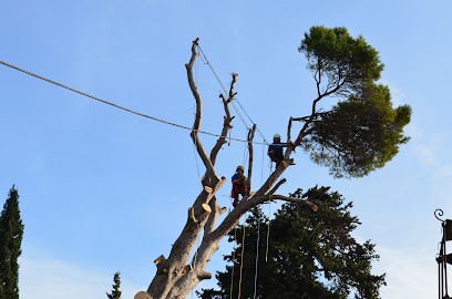 Arbre oxygène, Elagueur à Saint-Quentin-la-Poterie
