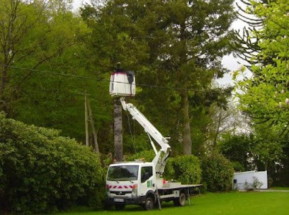 Entreprise Bauer - Élagueur Albi : Abattage Élagage Arbres Entretien Espaces Verts 81 82 Tarn-et-Garonne Albi Gaillac Carmaux, Elagueur à Terssac