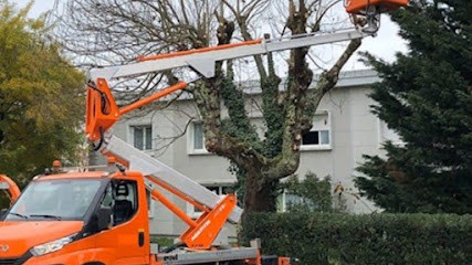 Louis élagage 64 bûcheron élagueur services d'élagage abattage d'arbres pose de clôture devis gratuit, Elagueur à Ousse