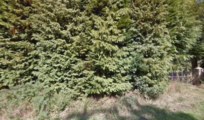 Office National Forêts, Elagueur à Vatteville-la-Rue