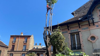 CLIFF SAUSER, Elagueur à Saint-Denis