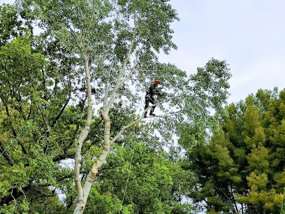 Sequoia SARL, Elagueur à Meyrargues