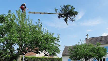 A . C . O Arboricole (élagage Abattage D'arbres Taille De Haies02-77), Elagueur à Pavant