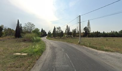 Ets Bauer élagage, Elagueur à Rivesaltes