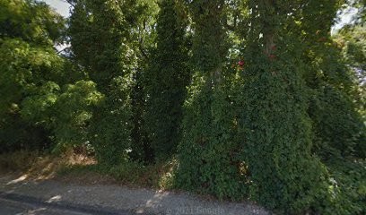 Office National des Forêts ONF, Elagueur à Neufchâteau