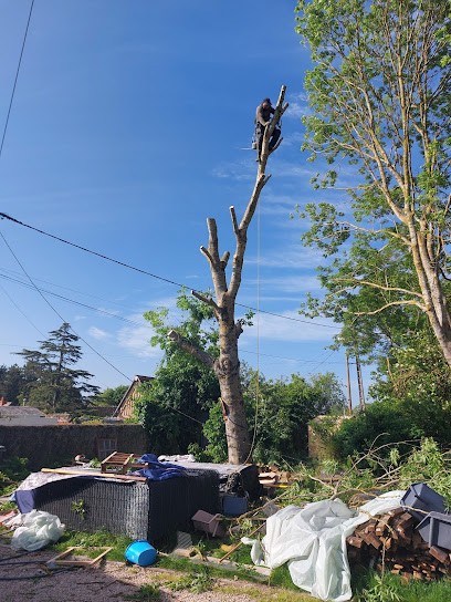 Ent Miraux élagage Elagueur espace vert pose clôture plus 11ans d'activité, Elagueur à Vernouillet