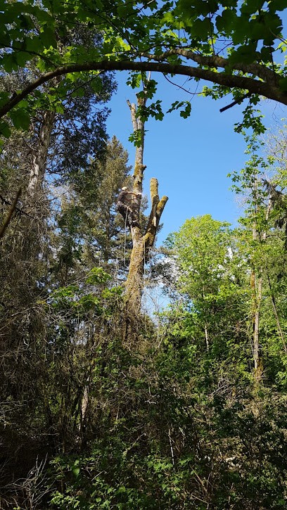 TOP ELAG', Elagueur à Neuvy-Pailloux