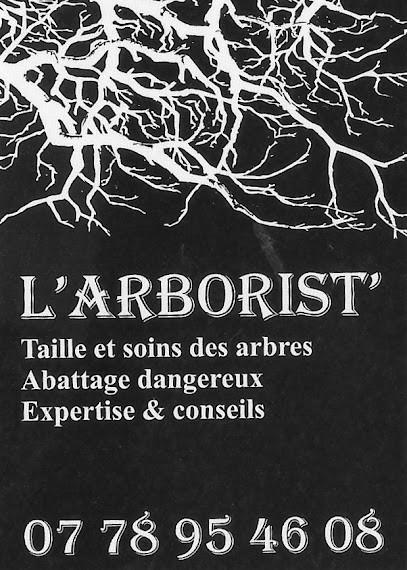 L'arborist', Elagueur à Sainte-Tulle