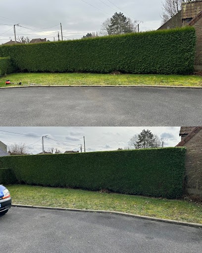 C élagage 62-59 entretien parc et jardin Service Élagage Abattage d’arbres, taille de haie paysagiste, 59000 lille, Elagueur à Lille