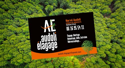 AUDOLI, Elagueur à Marseille 01