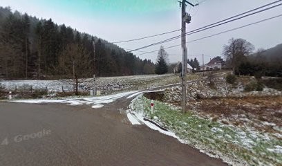 Office National Des Forêts (O.N.F.), Elagueur à Sturzelbronn