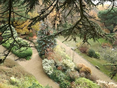 Les Jardins de la Colline | Jardinier | Paysagiste | Elagueur, Elagueur à Meudon