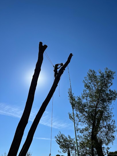 Elagage, Débroussaillage Courrejou Paysagiste, Elagueur à Vergèze