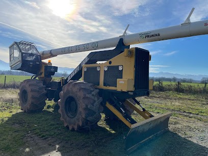 Pruning | Entreprise De Débroussaillage, Élagage Et Abattage, Elagueur à Villeneuve-de-Rivière